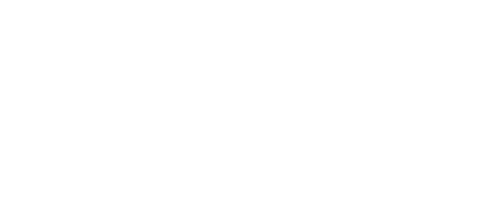 チケット概要